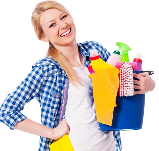 Professional Cleaning Process