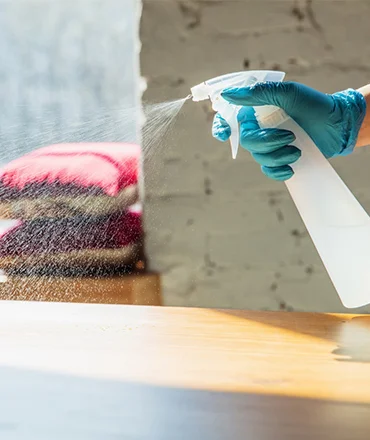 Elegant home decor and design