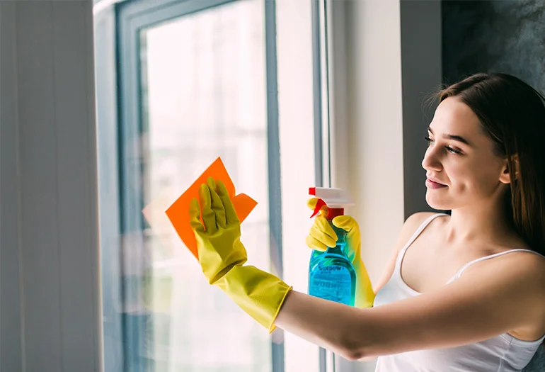 Professional window cleaning service
