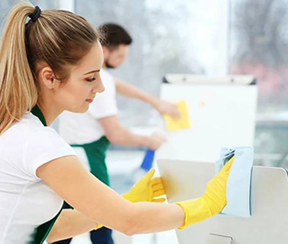 Professional Cleaning Services